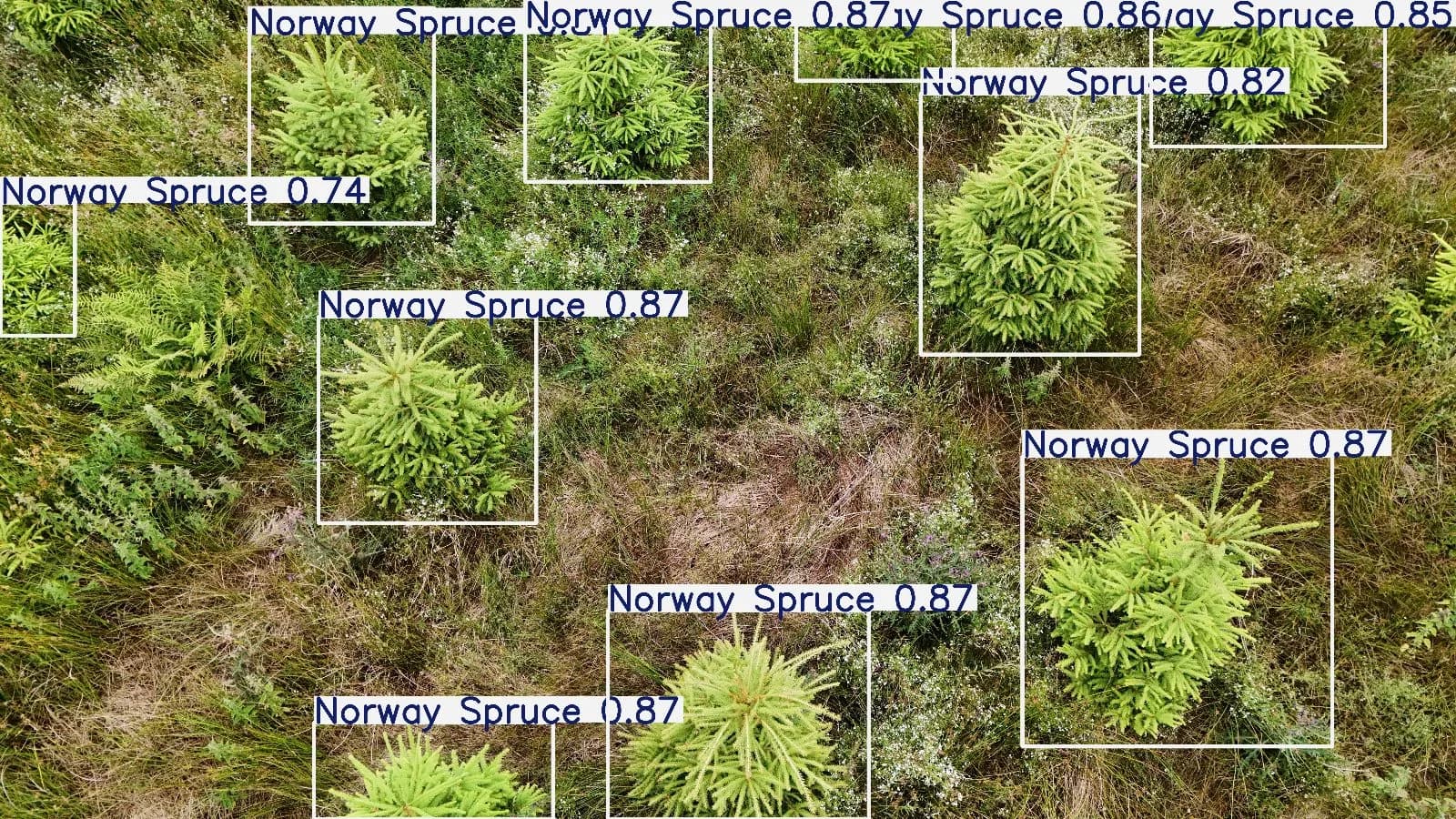 Building the Intelligence on the Fly